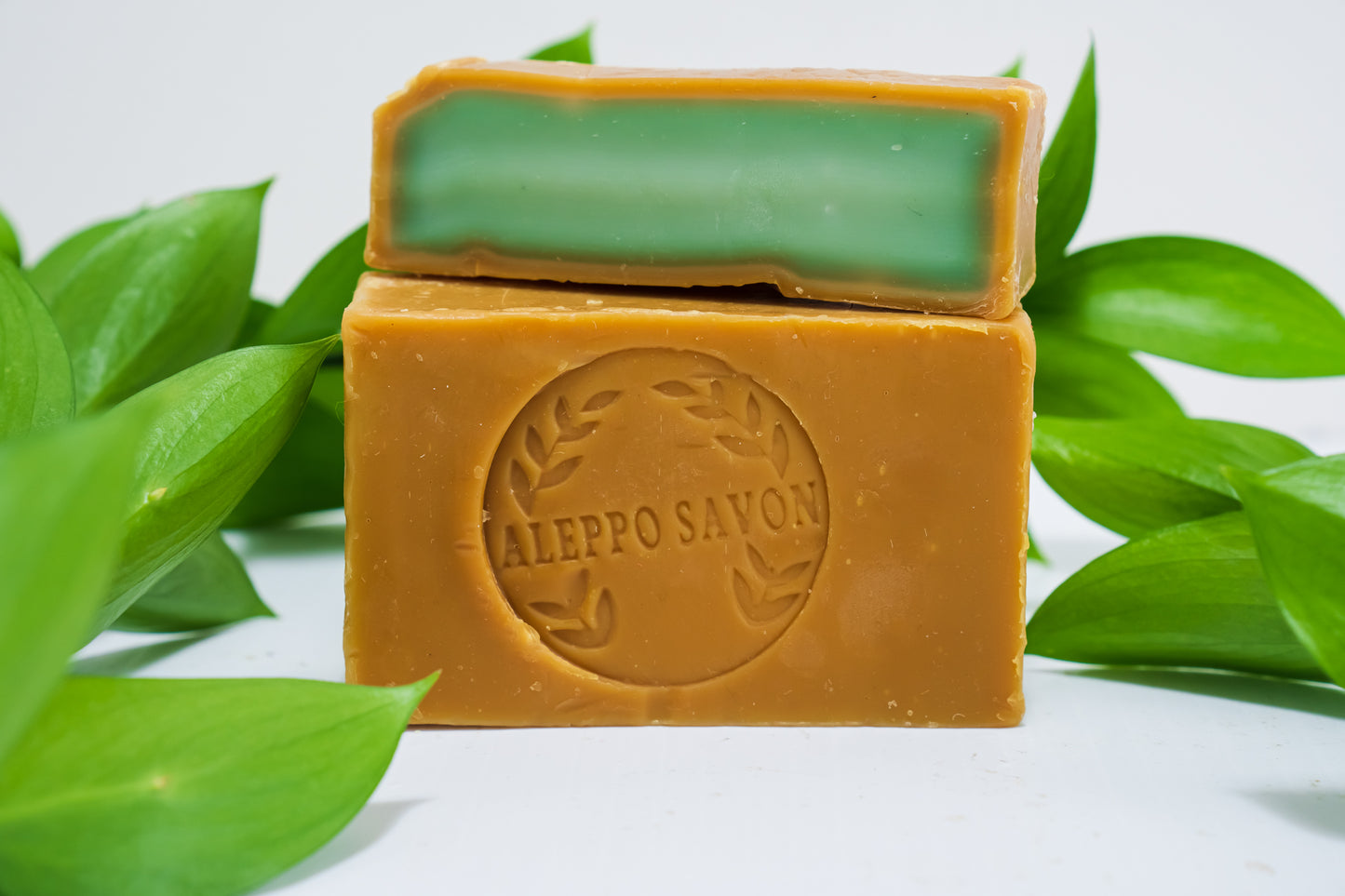 Famous Aleppo Soap 10% Laurel Berry Oil - Alepposavon