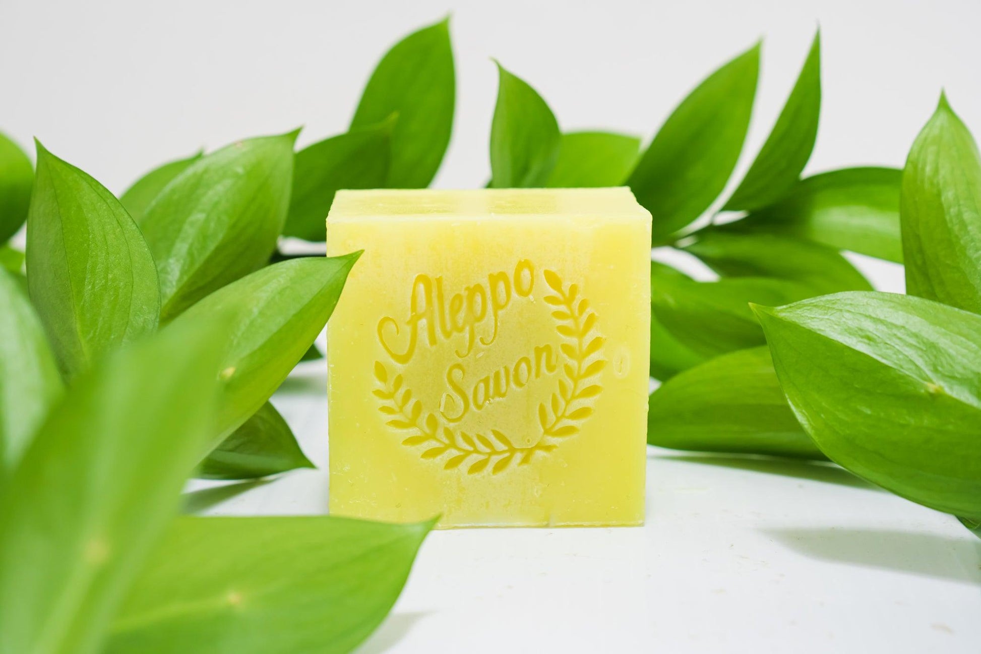 Aleppo Soap Lemon - Alepposavon